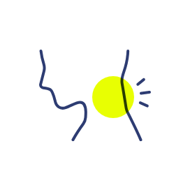 首